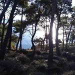 Apartment In Near Hidrobaza *