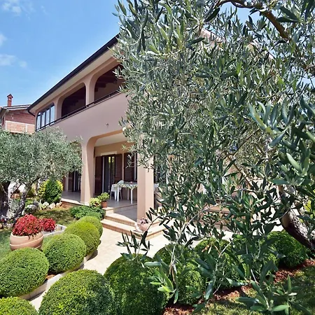 In Near Hidrobaza Póla