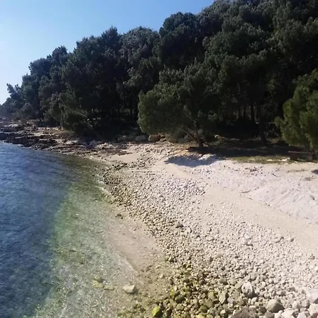 In Near Hidrobaza Daire