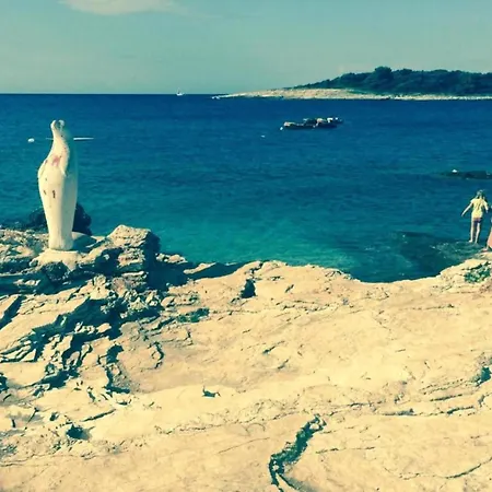 In Near Hidrobaza شقة بولا