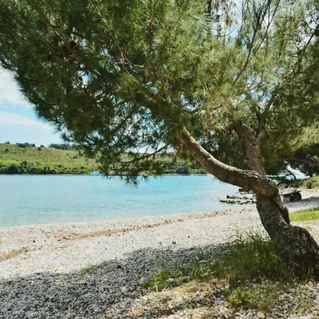 In Near Hidrobaza