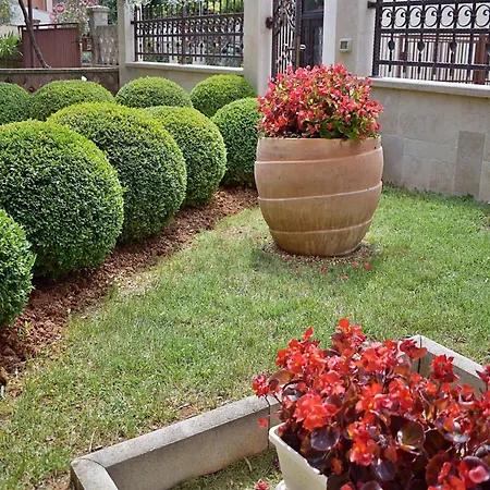 شقة In Near Hidrobaza *