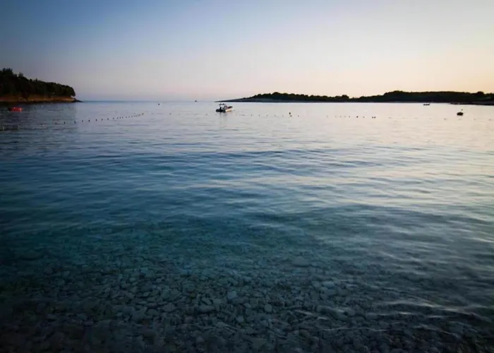 Apartman In Near Hidrobaza *