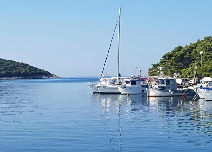 Apartman In Near Hidrobaza *