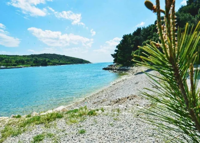 Apartman In Near Hidrobaza *