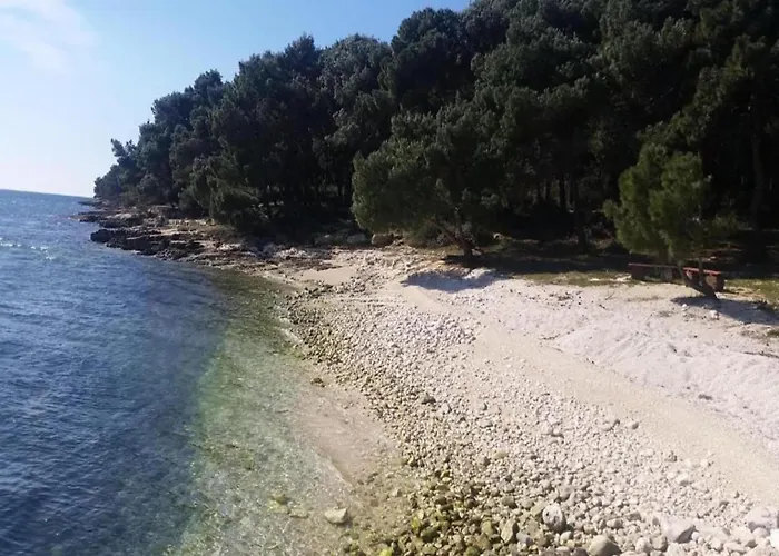 In Near Hidrobaza Apartmán