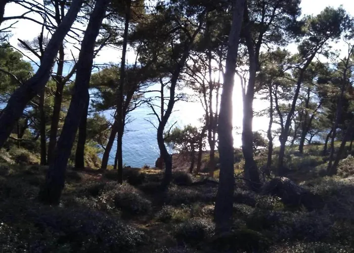 Apartman In Near Hidrobaza *