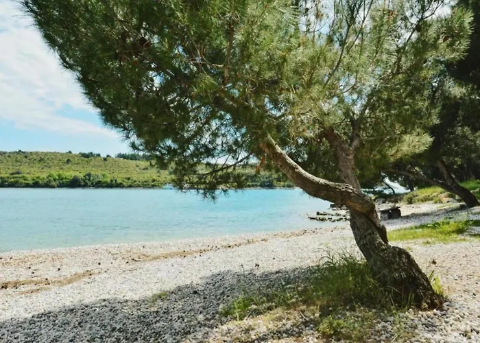 In Near Hidrobaza