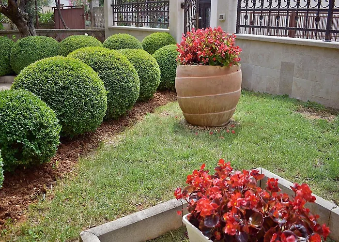 Apartman In Near Hidrobaza *