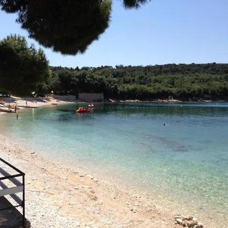 In Near Hidrobaza Apartment