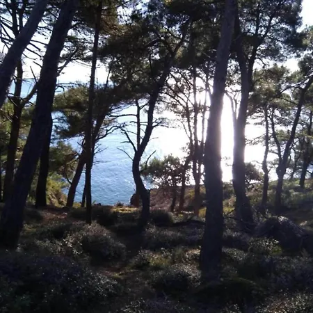 Apartment In Near Hidrobaza *