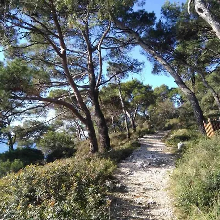 Apartment In Near Hidrobaza